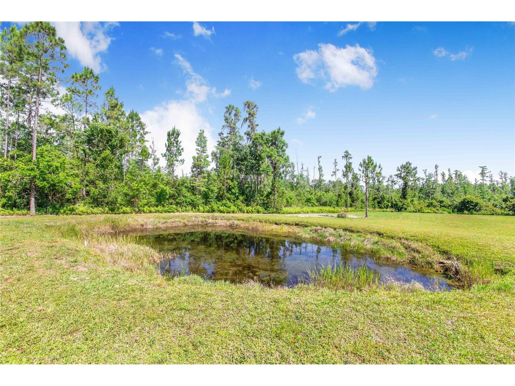 7152 Fussell Road Polk City FL 33868 P4938777 image48