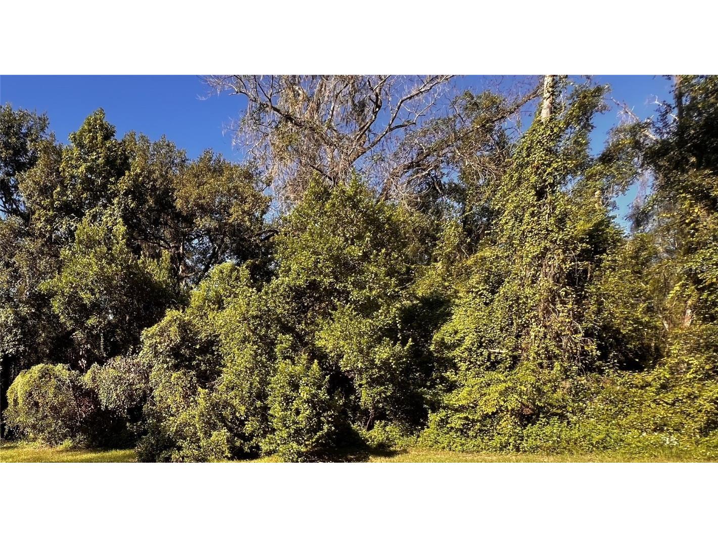 7152 Kenyon Dr. Webster FL 33597 W7879095 image1