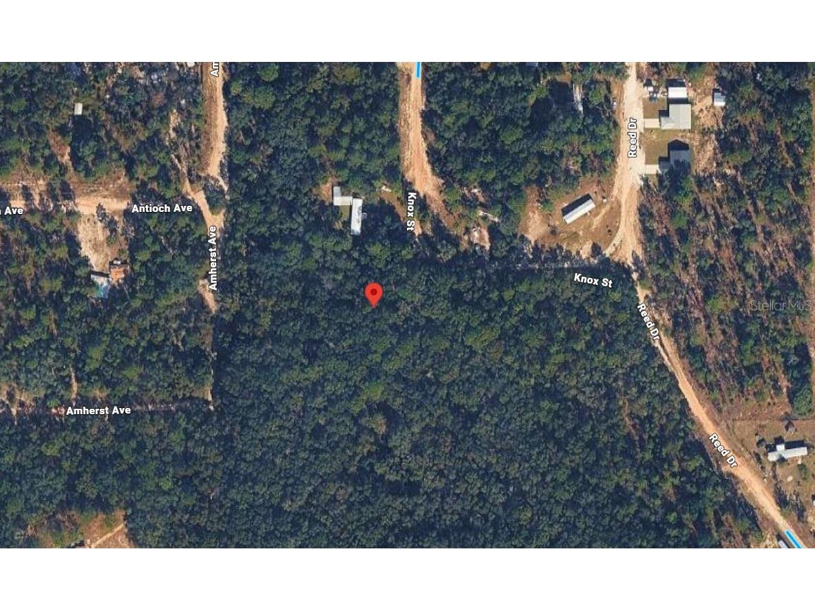 7152 Knox Street Keystone Heights FL 32656 K4903546 image3