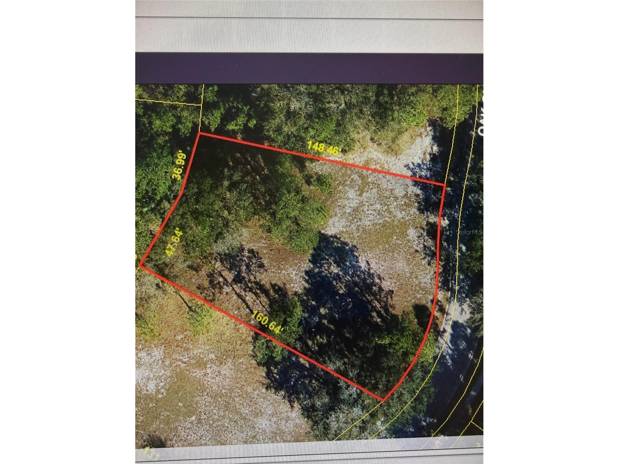 7152 Oak Glen Trail Saint Cloud FL 34773 J999752 image1