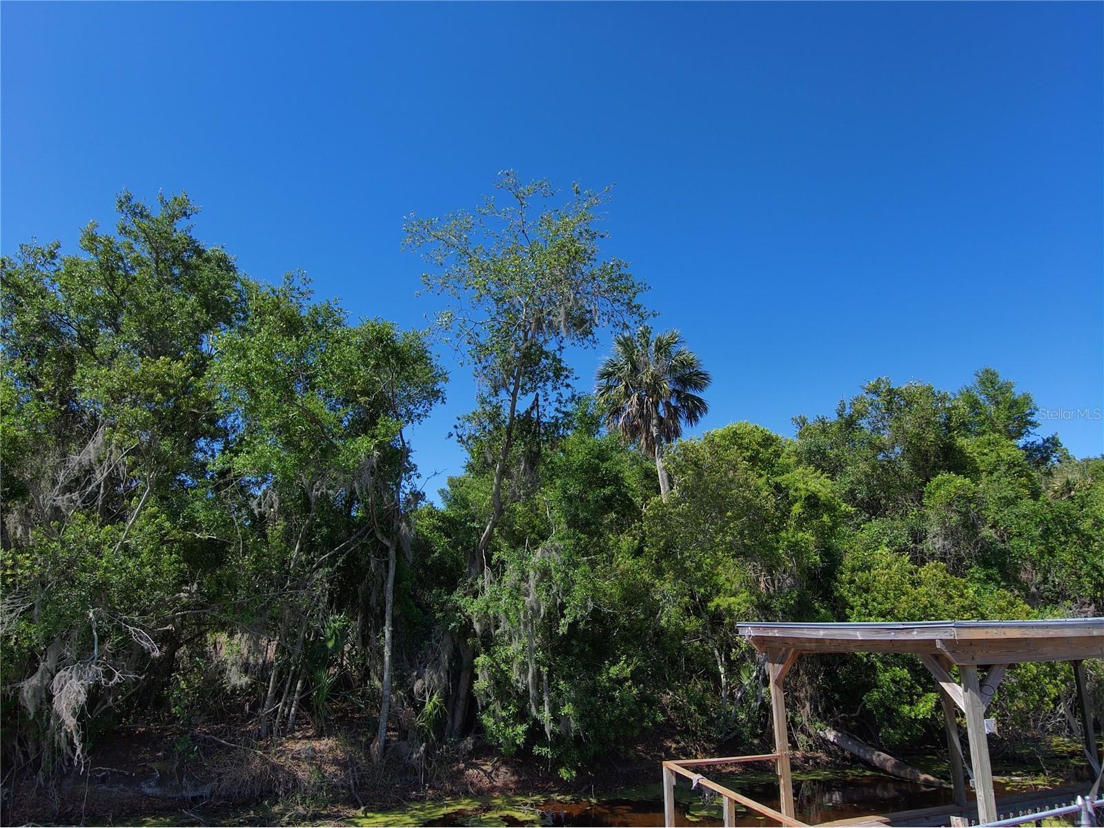 7152 Palm Avenue Leesburg FL 34788 - LAKE GRIFFIN G5111218 image37