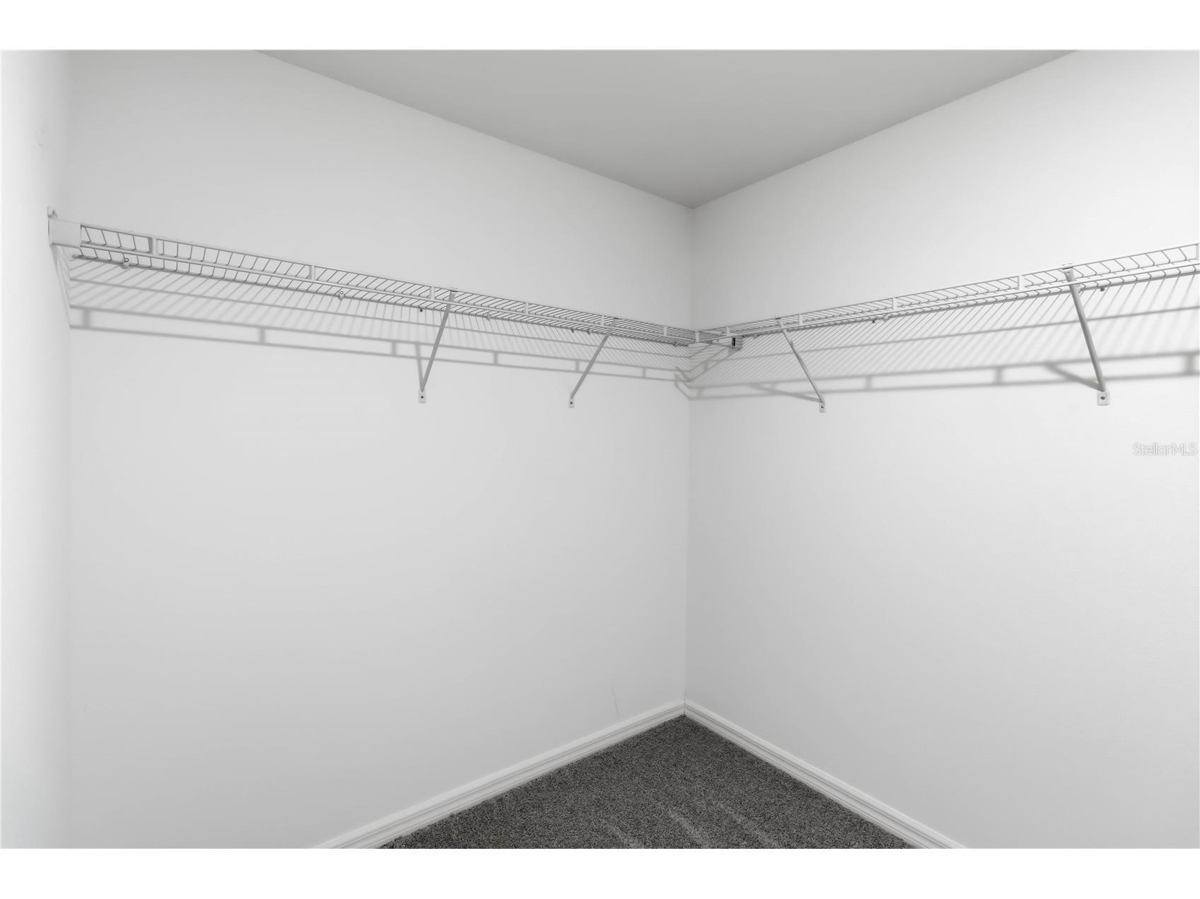 7152 Samuel Ivy Drive Tampa FL 33619 TB8492392 image14