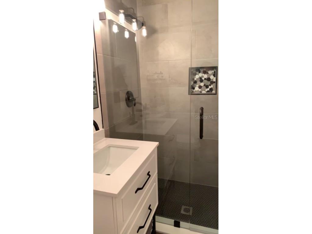 7152 Sandy Lane Wesley Chapel FL 33544 TB8389030 image21