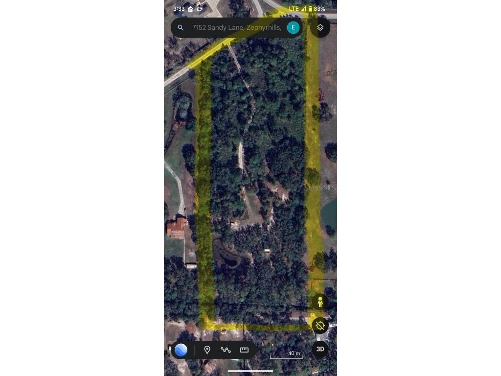 7152 Sandy Lane Wesley Chapel FL 33544 TB8389030 image37