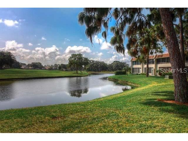 7153 W Country Club Drive N #146 Sarasota FL 34243 A4443854 image10