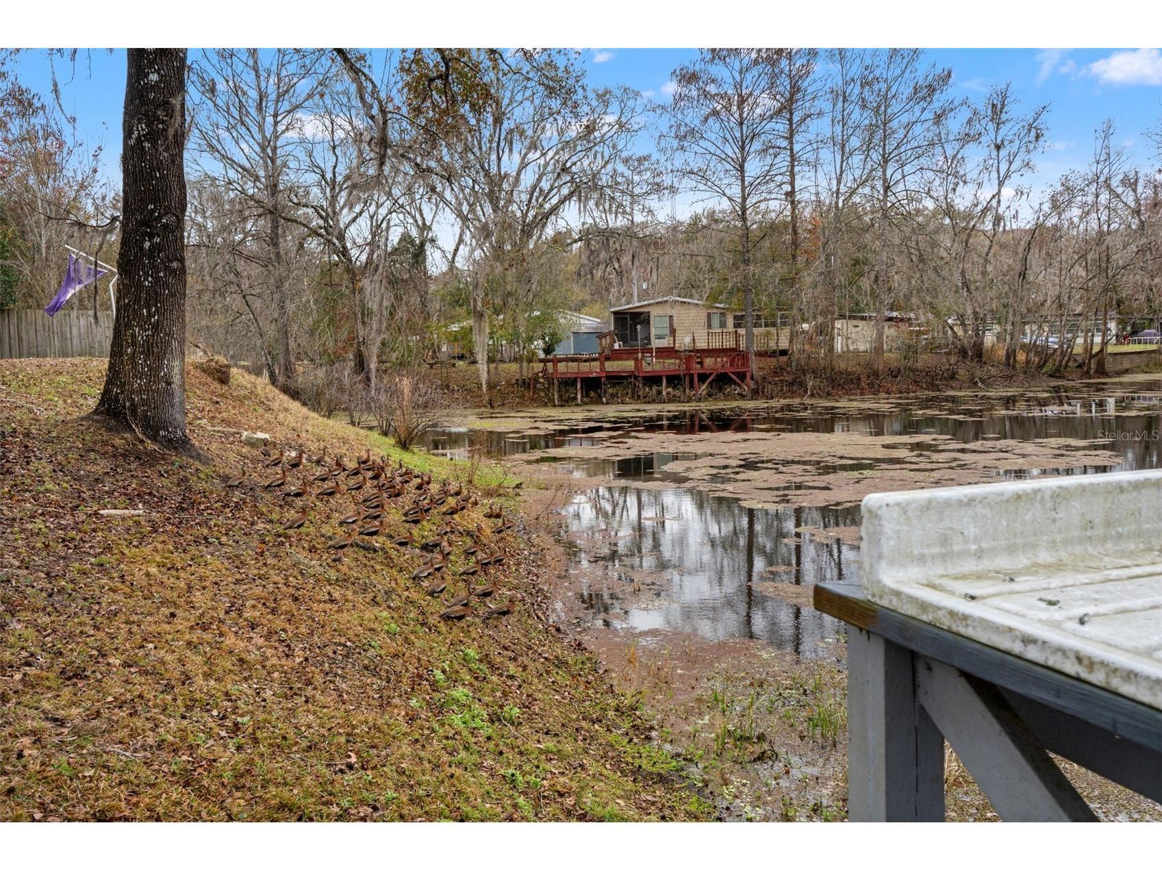 7154 Co Rd 651 Bushnell FL 33513 W7882548 image31