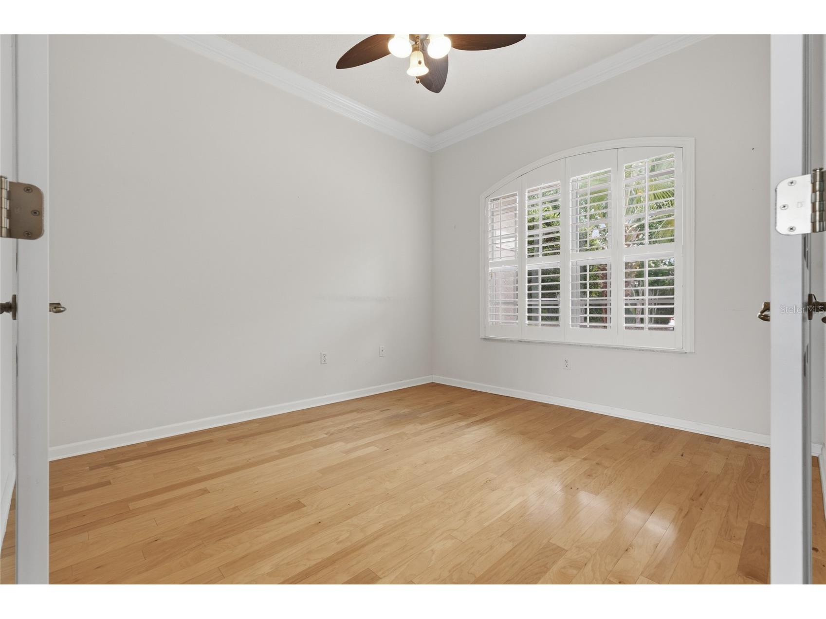 7154 Melogold Circle Land O Lakes FL 34637 W7887219 image10