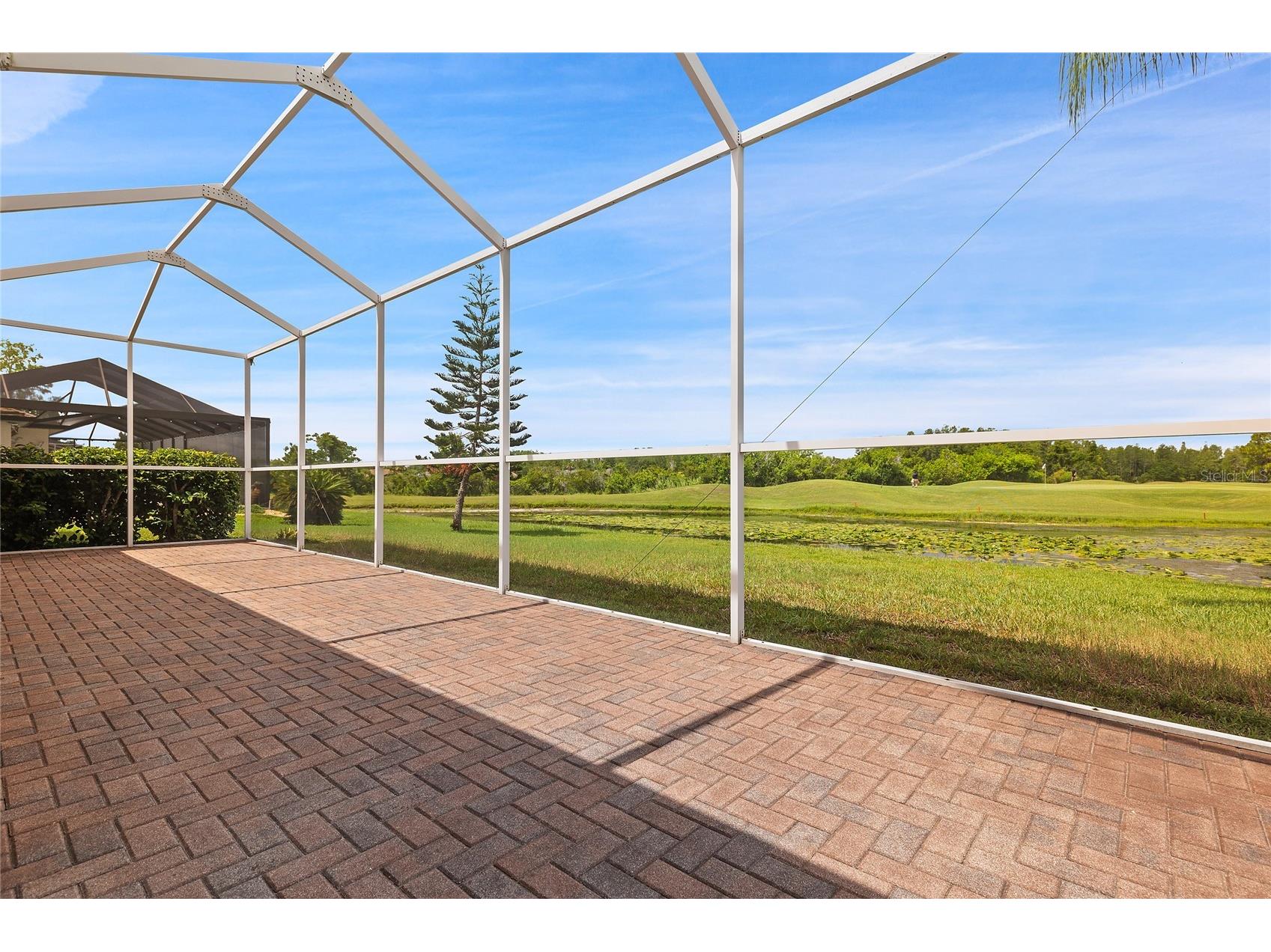 7154 Melogold Circle Land O Lakes FL 34637 W7887219 image26