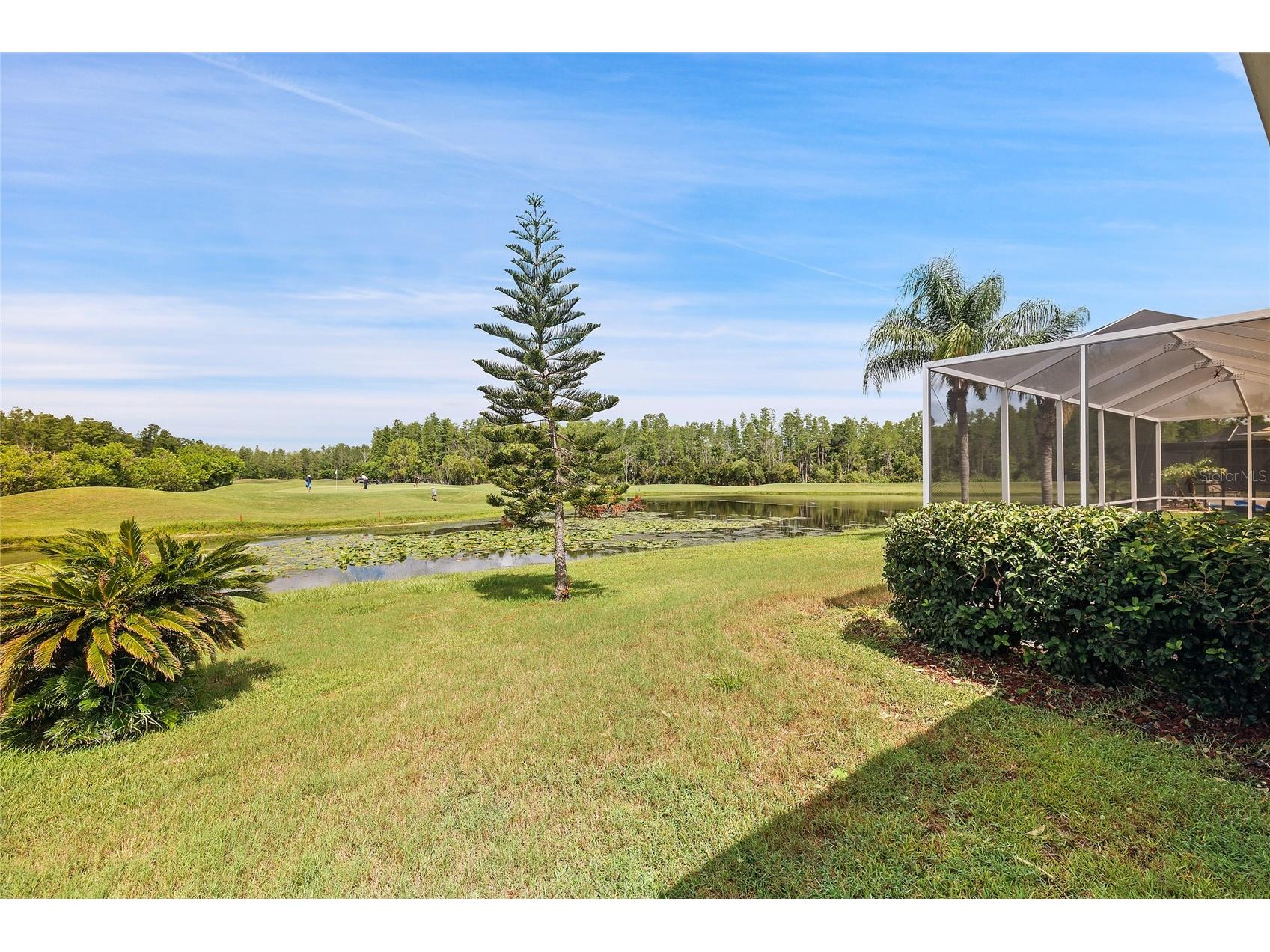 7154 Melogold Circle Land O Lakes FL 34637 W7887219 image4