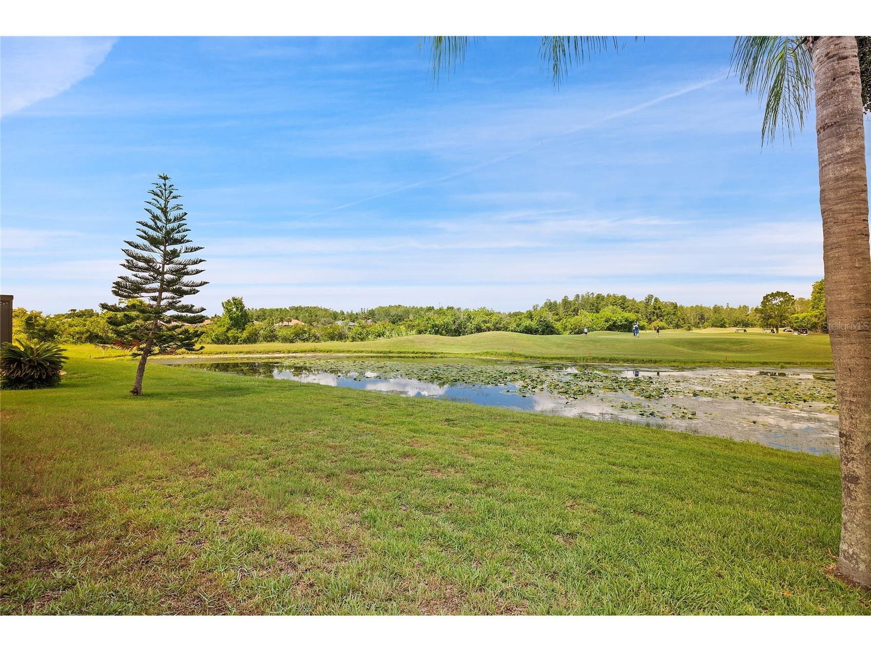 7154 Melogold Circle Land O Lakes FL 34637 W7887219 image5