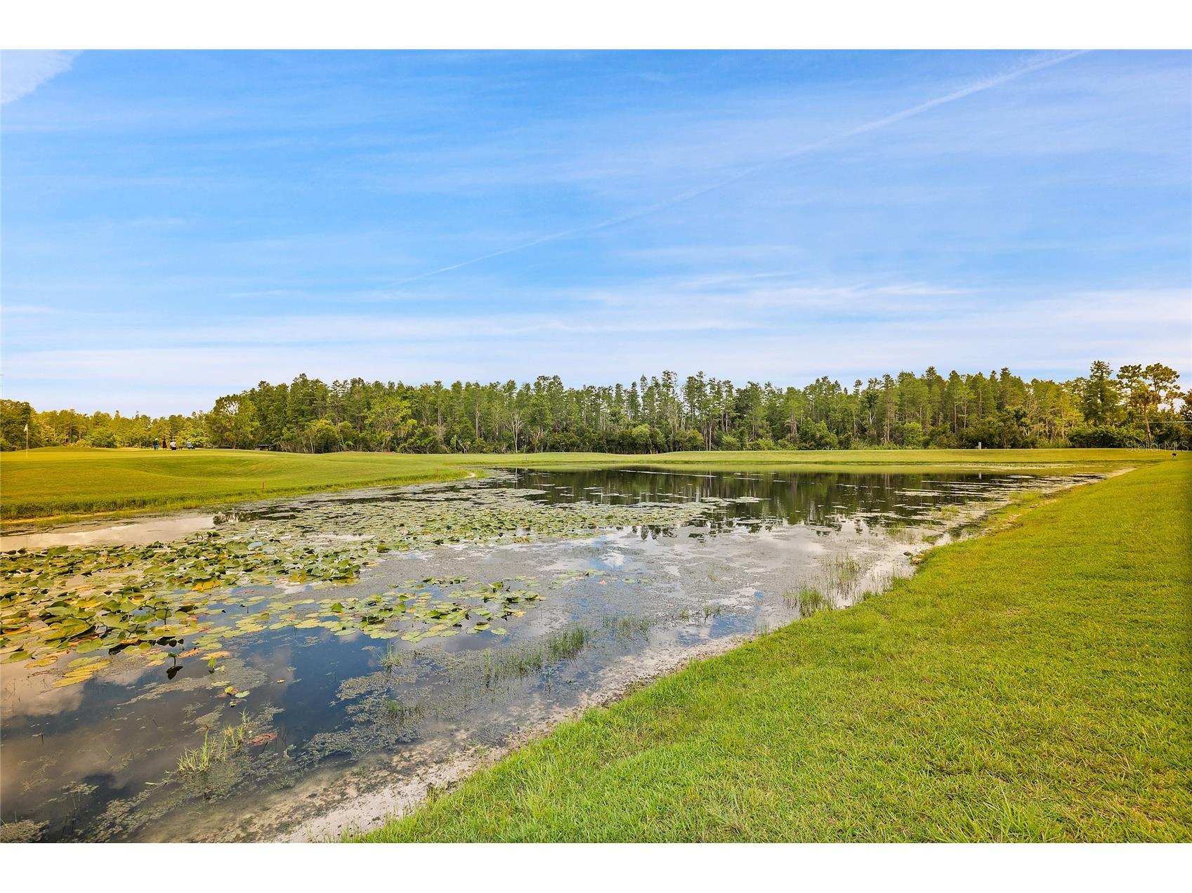 7154 Melogold Circle Land O Lakes FL 34637 W7887219 image6