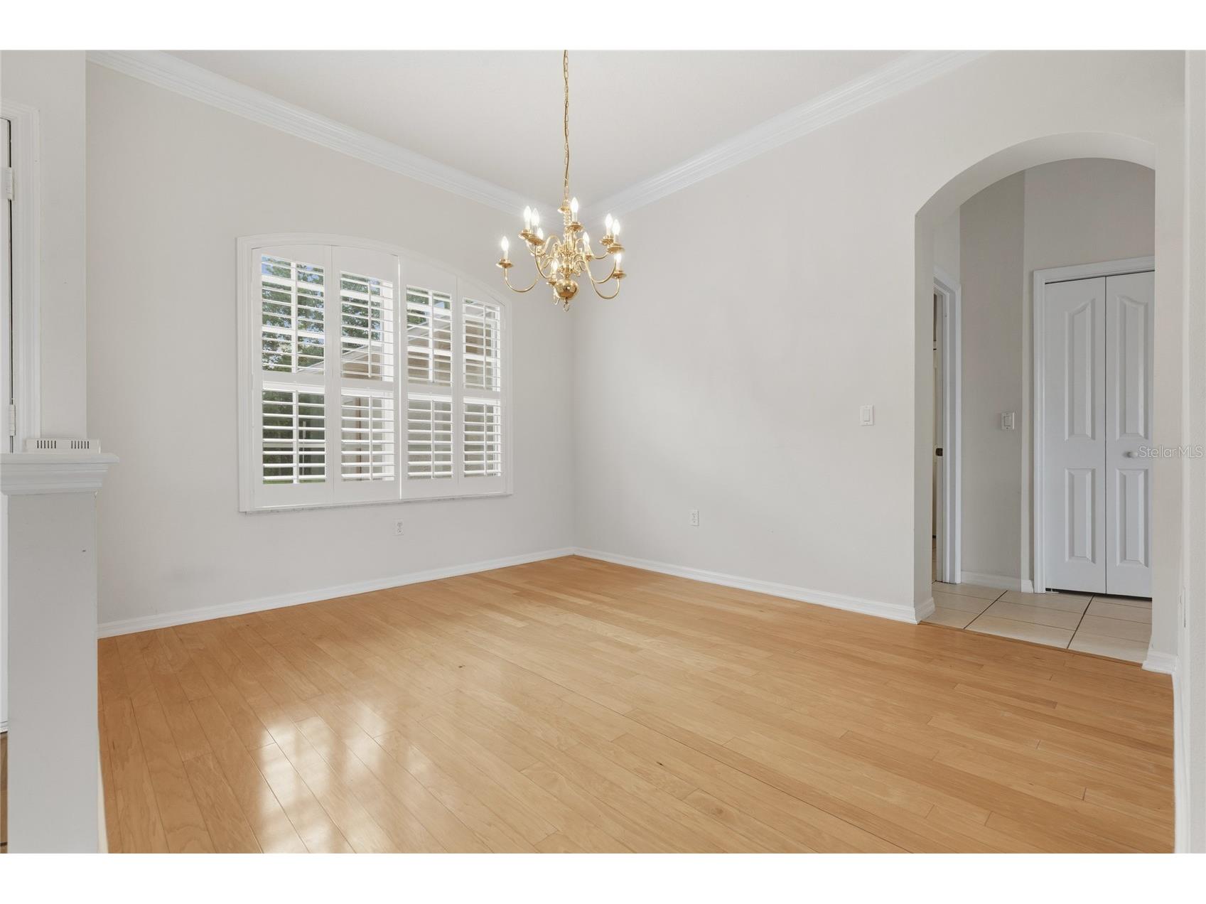 7154 Melogold Circle Land O Lakes FL 34637 W7887219 image9
