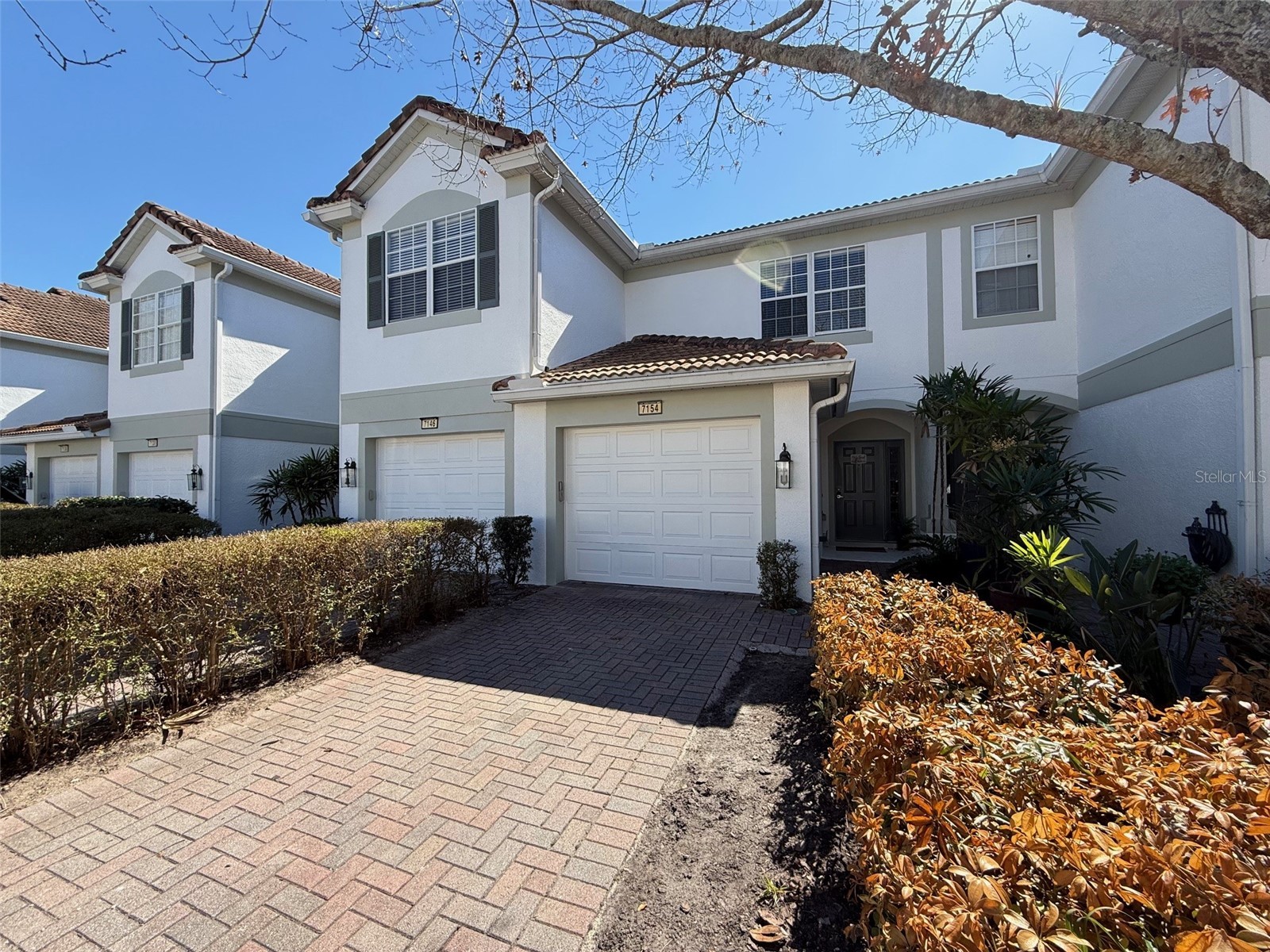 7154 Showcase Lane Orlando FL 32819 O6381566 image1