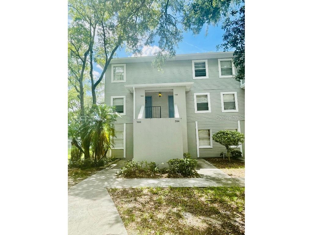 7156 E Bank Drive #7156 Tampa FL 33617 T3547873 image1