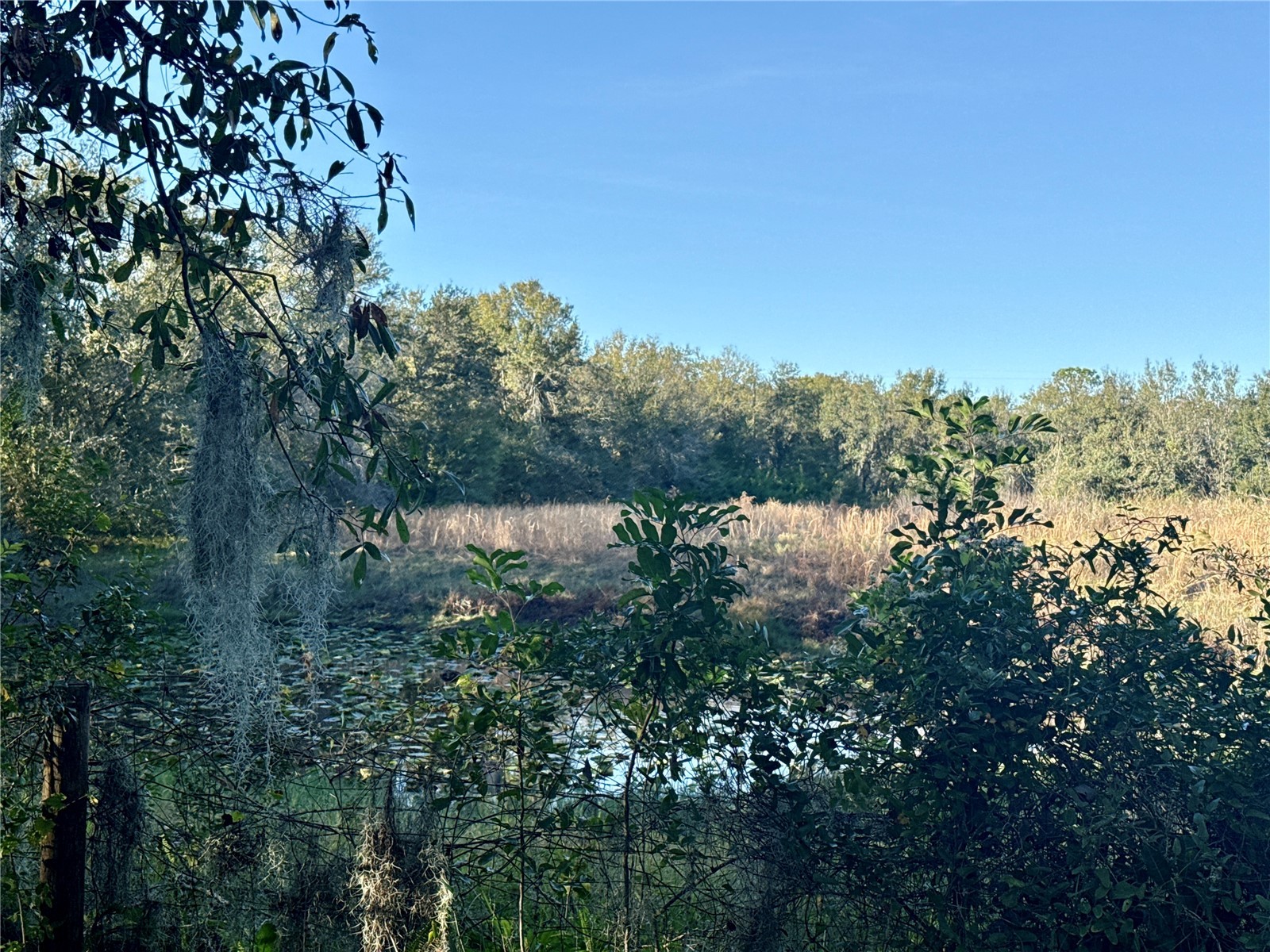 7156 Wilderness Lane Sarasota FL 34240 TB8461141 image30