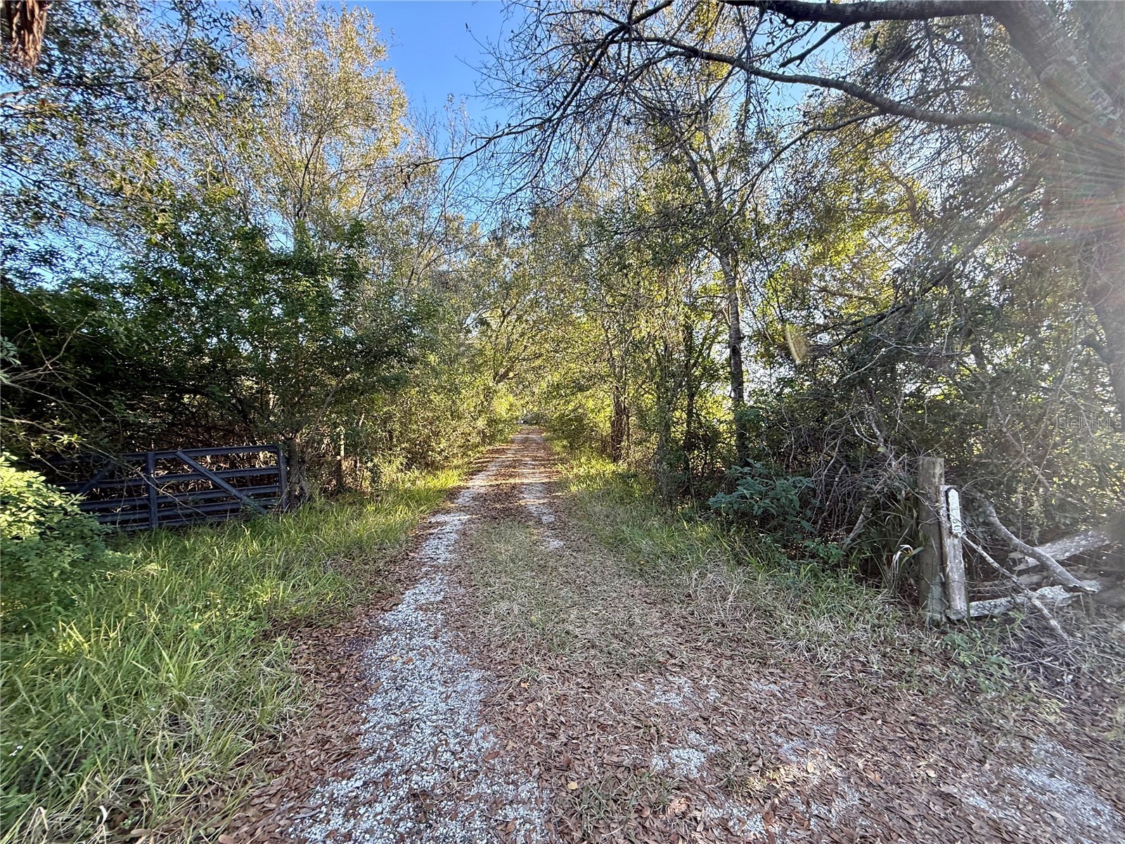 7156 Wilderness Lane Sarasota FL 34240 TB8461141 image32