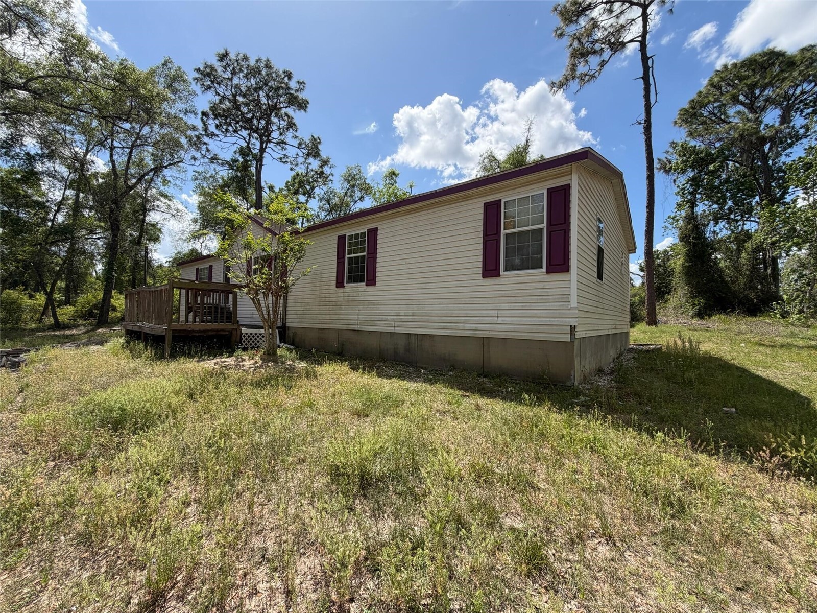 7157 Dentala Street Brooksville FL 34604 O6397710 image1