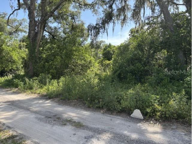 7157 Glory Road Zephyrhills FL 33540 L4963211 image1