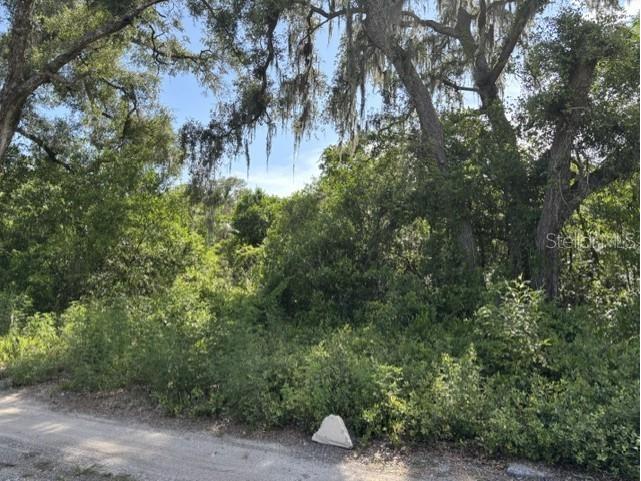 7157 Glory Road Zephyrhills FL 33540 L4963211 image2