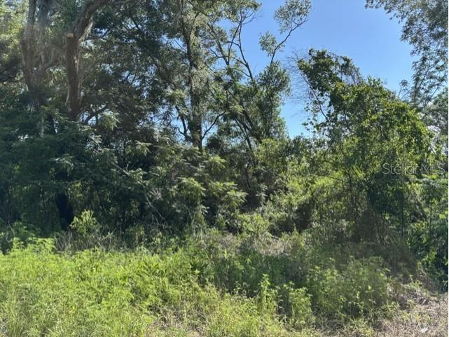 7157 Glory Road Zephyrhills FL 33540 L4963211 image3