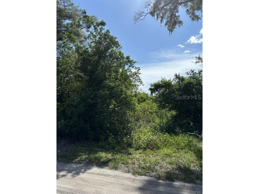 7157 Glory Road Zephyrhills FL 33540 L4963211 image4