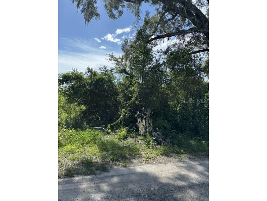 7157 Glory Road Zephyrhills FL 33540 L4963211 image5