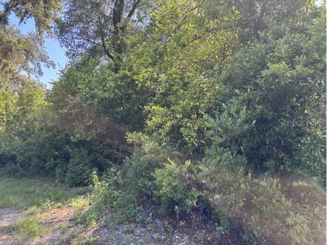 7157 Glory Road Zephyrhills FL 33540 L4963211 image6