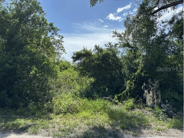 7157 Glory Road Zephyrhills FL 33540 L4963211 image7