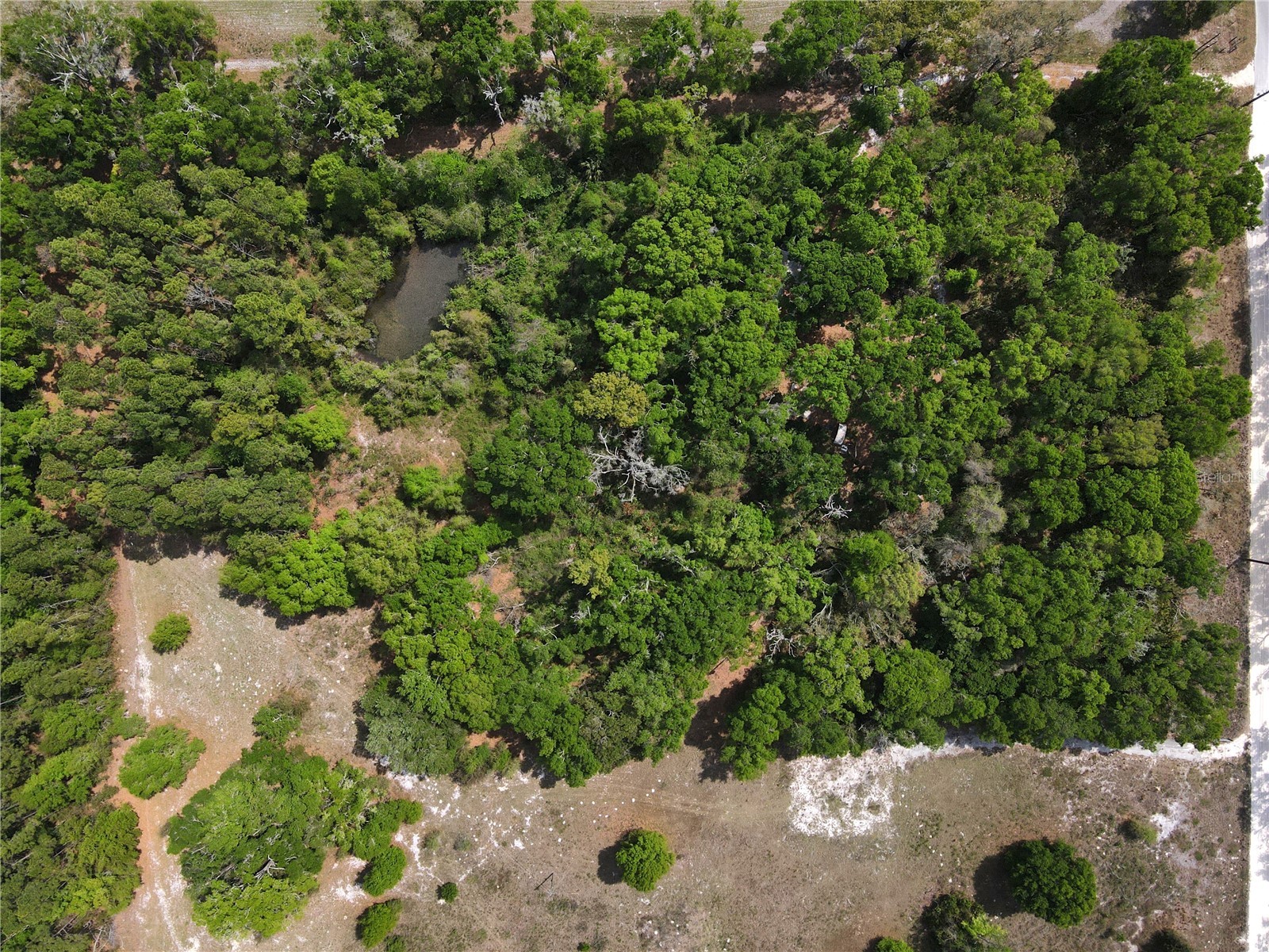 7157 NW 120th Street Chiefland FL 32626 GC539082 image13