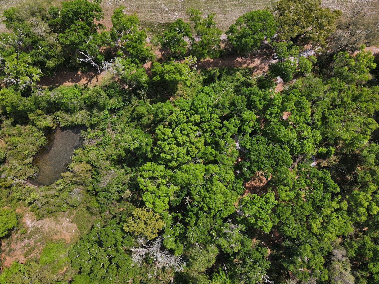 7157 NW 120th Street Chiefland FL 32626 GC539082 image14