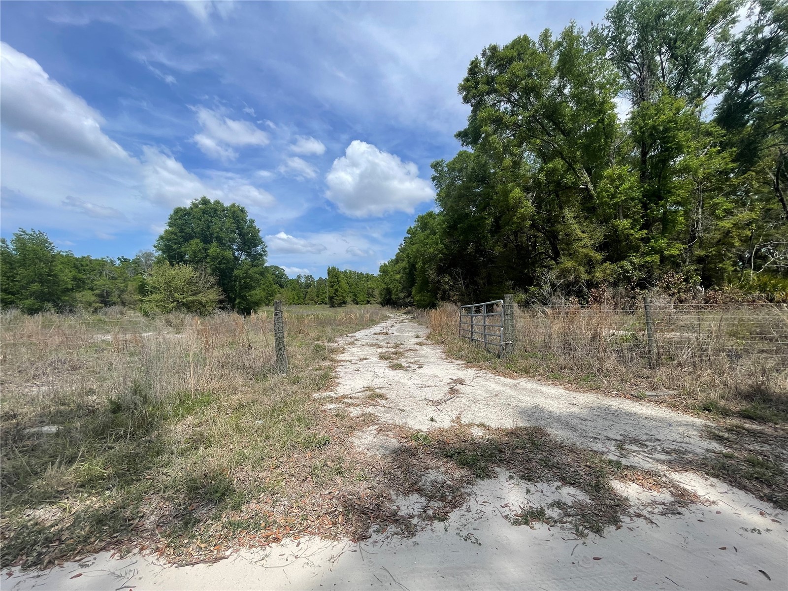 7157 NW 120th Street Chiefland FL 32626 GC539082 image16