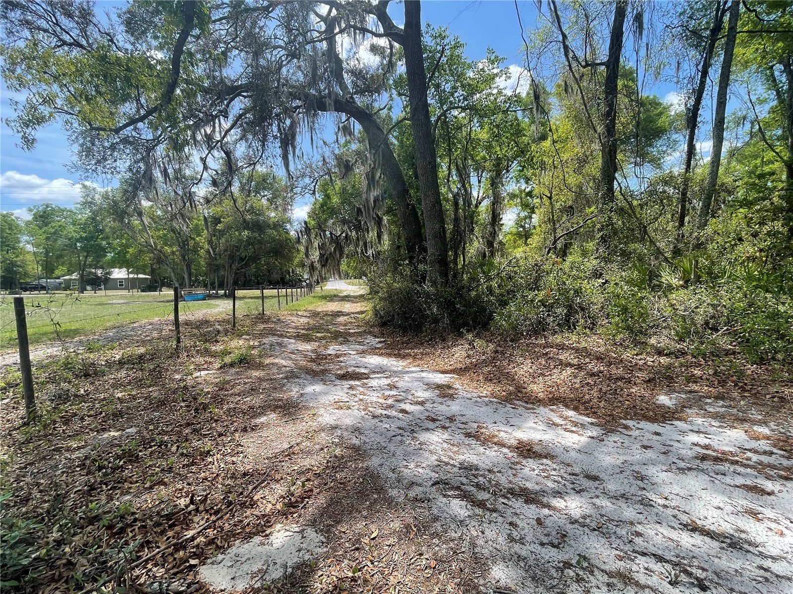 7157 NW 120th Street Chiefland FL 32626 GC539082 image18