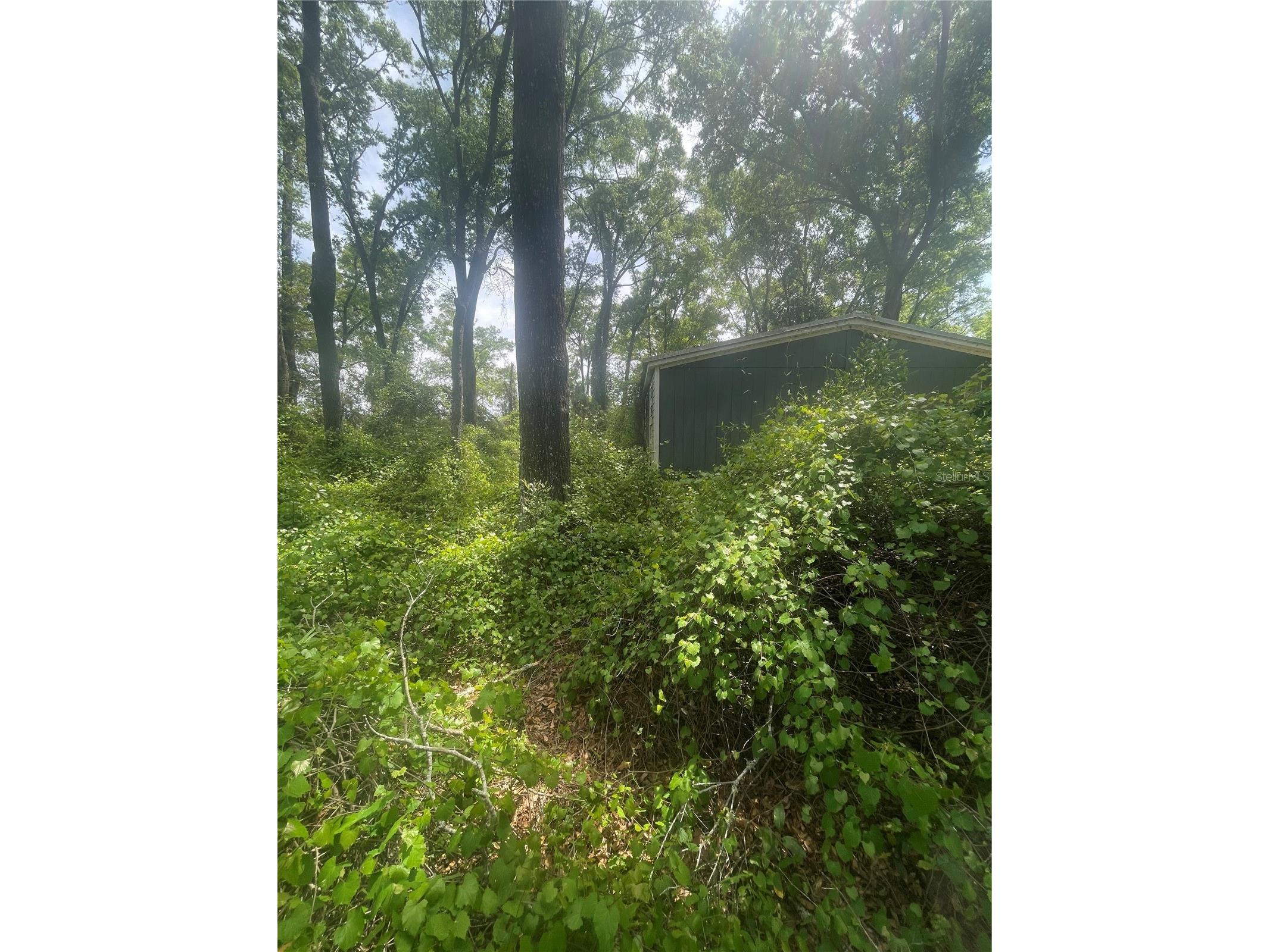 7157 NW 120th Street Chiefland FL 32626 GC539082 image25