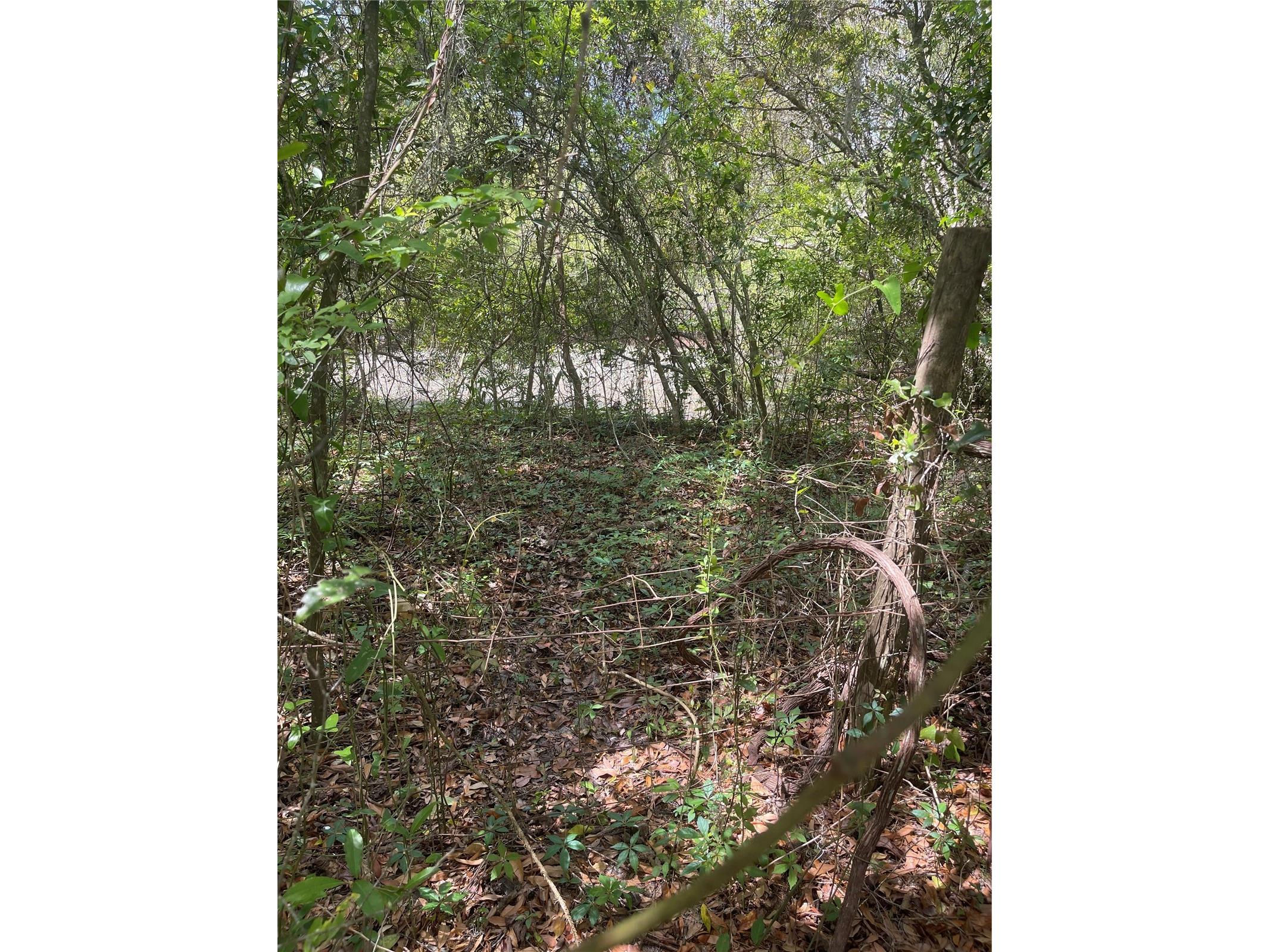 7157 NW 120th Street Chiefland FL 32626 GC539082 image29