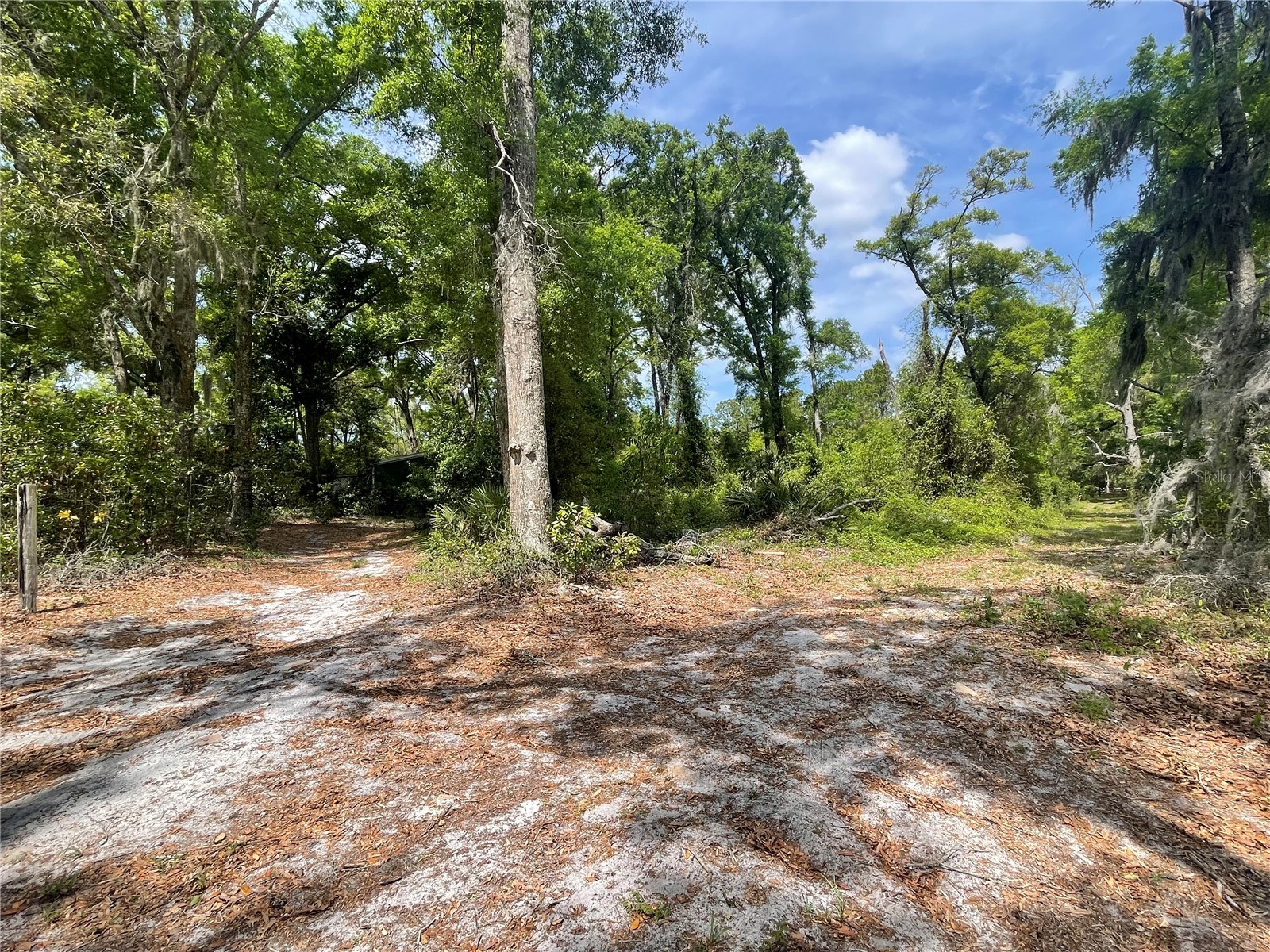 7157 NW 120th Street Chiefland FL 32626 GC539082 image30