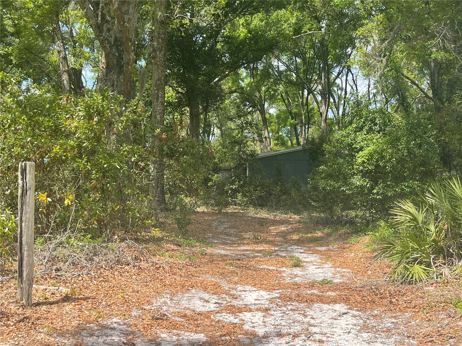 7157 NW 120th Street Chiefland FL 32626 GC539082 image32