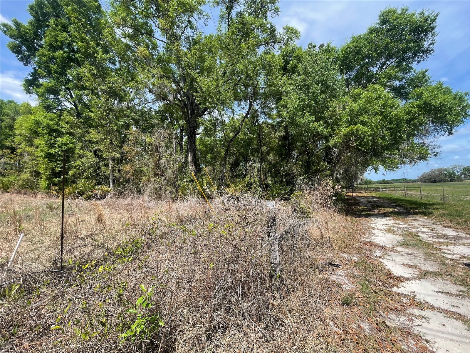 7157 NW 120th Street Chiefland FL 32626 GC539082 image33