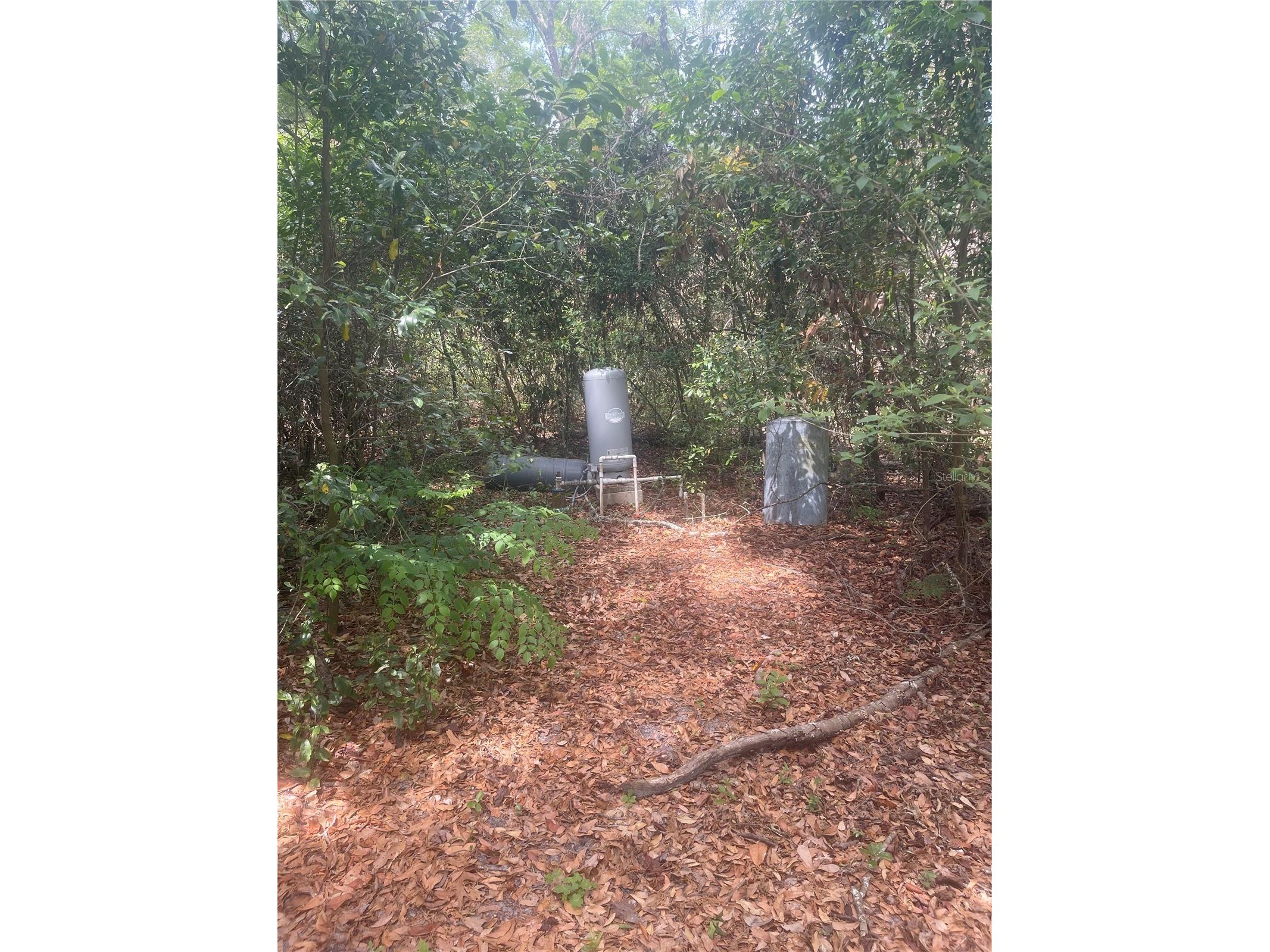 7157 NW 120th Street Chiefland FL 32626 GC539082 image5