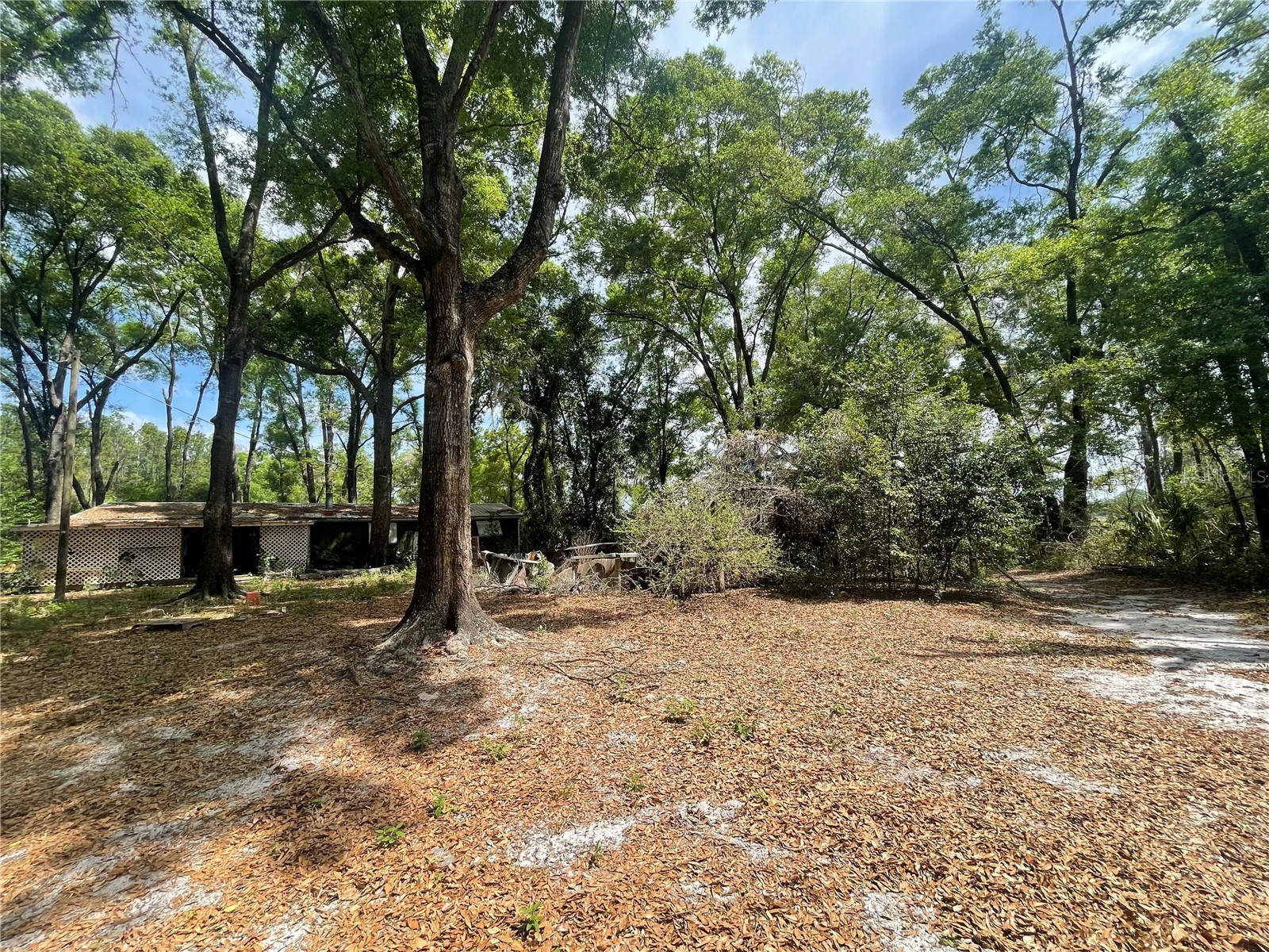 7157 NW 120th Street Chiefland FL 32626 GC539082 image6
