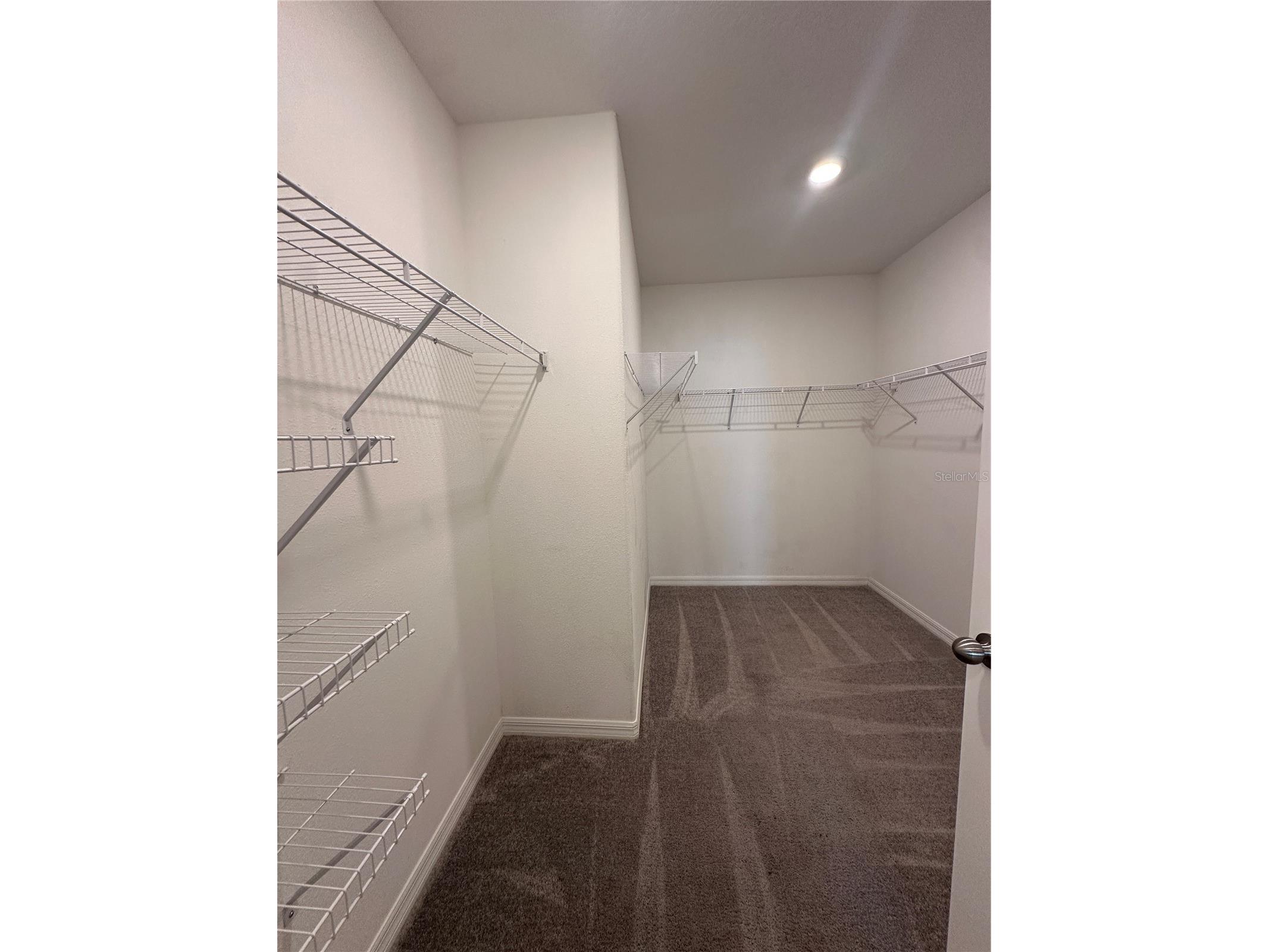 7157 Samuel Ivy Drive Tampa FL 33619 O6391385 image17