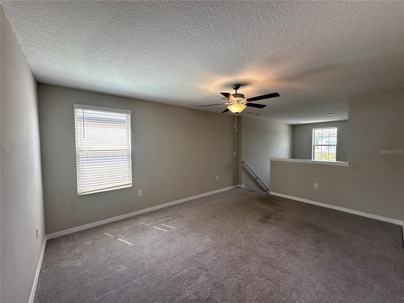 7157 Samuel Ivy Drive Tampa FL 33619 O6391385 image19