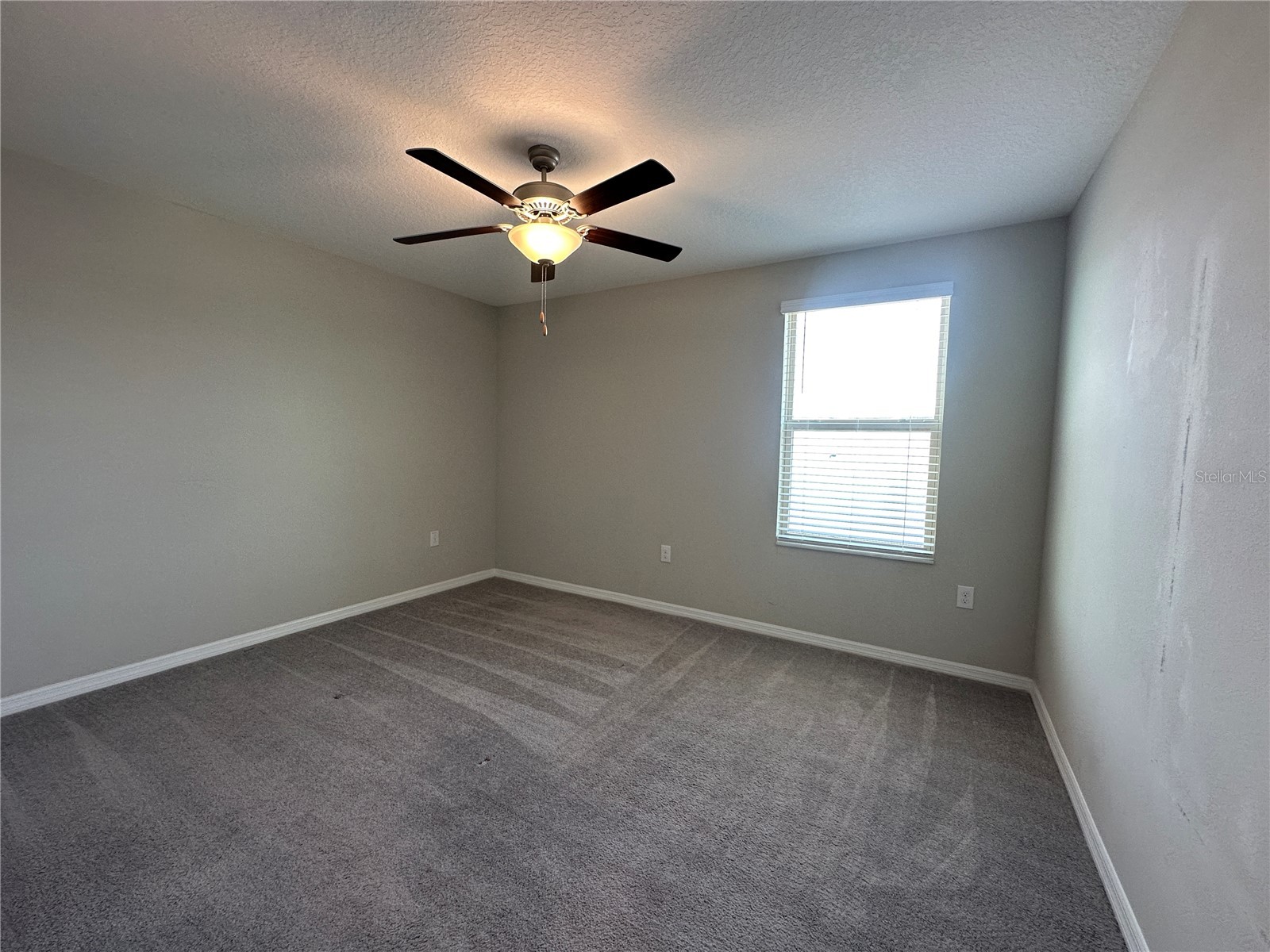 7157 Samuel Ivy Drive Tampa FL 33619 O6391385 image24