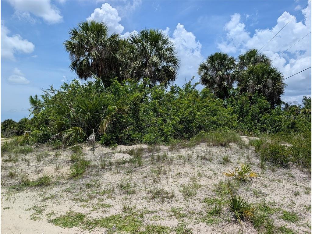 7157 Sea Mist Drive Port Charlotte FL 33981 D6142987 image2