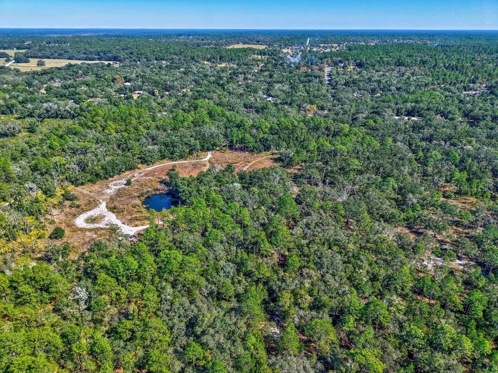 7157 W Contentment Lane Dunnellon FL 34433 TB8443221 image10