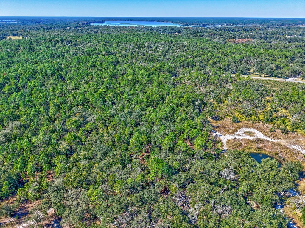 7157 W Contentment Lane Dunnellon FL 34433 TB8443221 image12