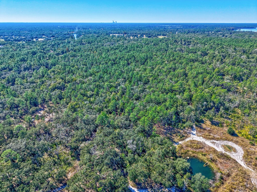 7157 W Contentment Lane Dunnellon FL 34433 TB8443221 image13