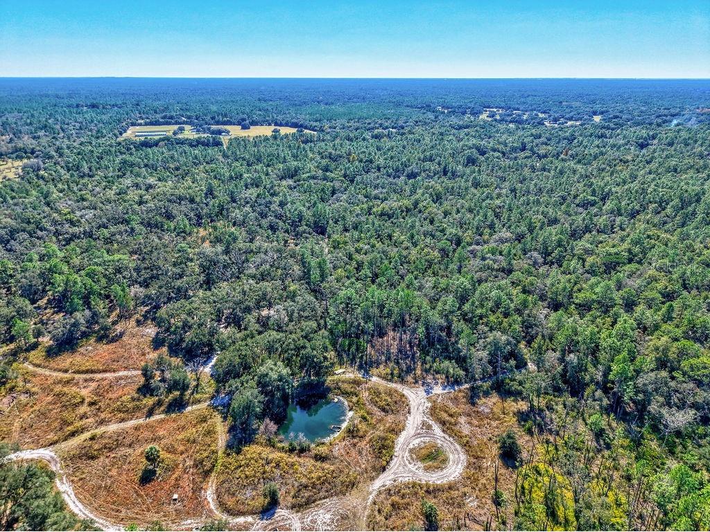 7157 W Contentment Lane Dunnellon FL 34433 TB8443221 image14