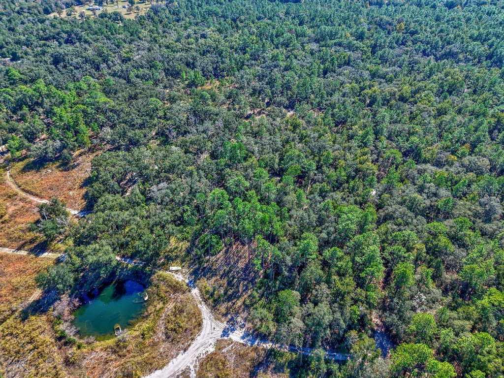 7157 W Contentment Lane Dunnellon FL 34433 TB8443221 image15