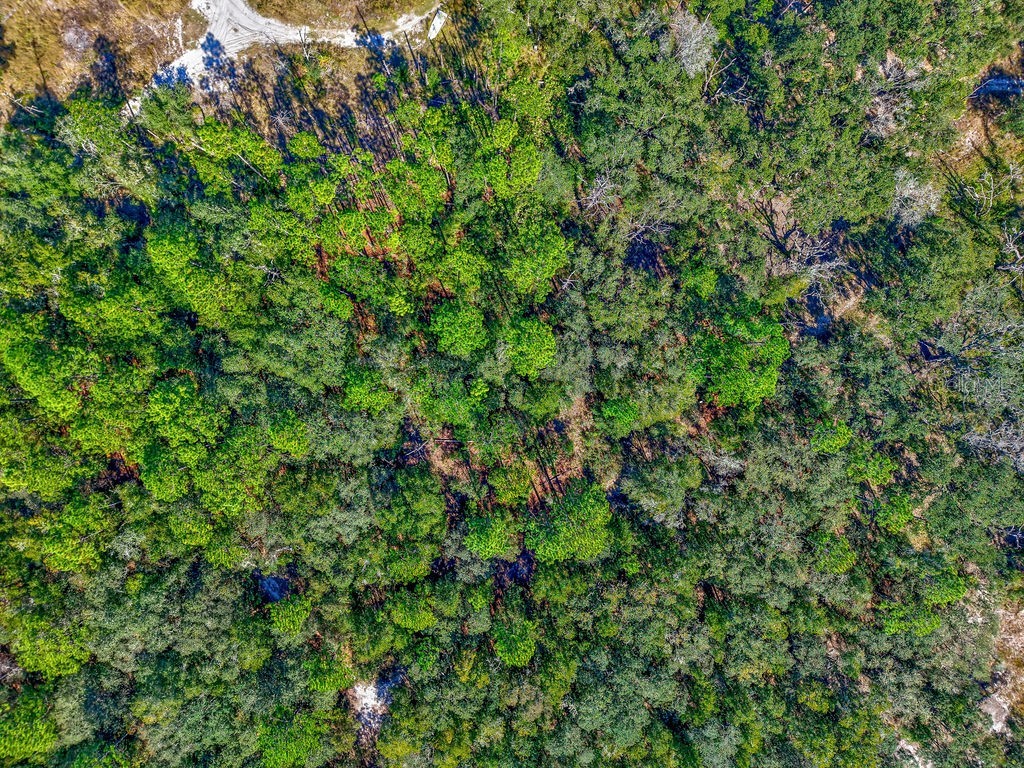 7157 W Contentment Lane Dunnellon FL 34433 TB8443221 image16