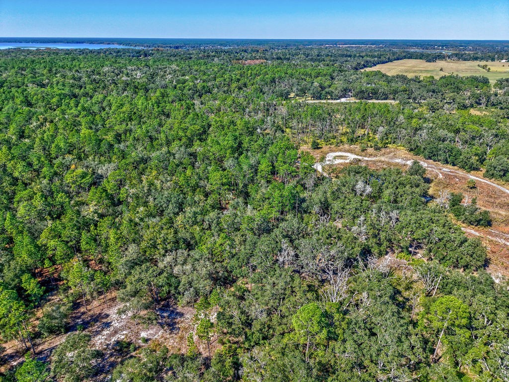 7157 W Contentment Lane Dunnellon FL 34433 TB8443221 image18